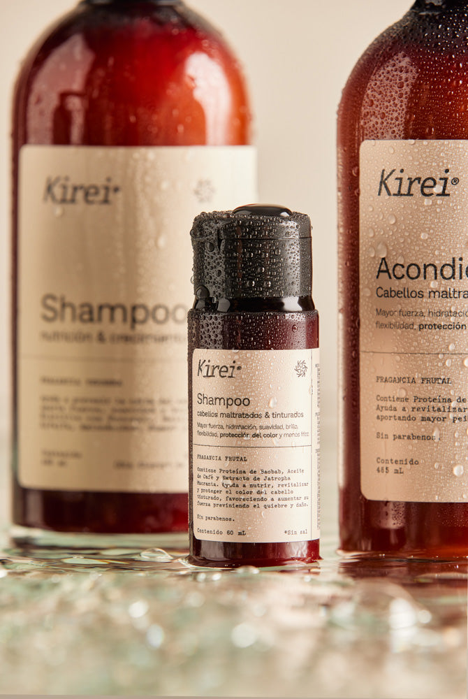 Shampoo Cabellos Maltratados y Tinturados