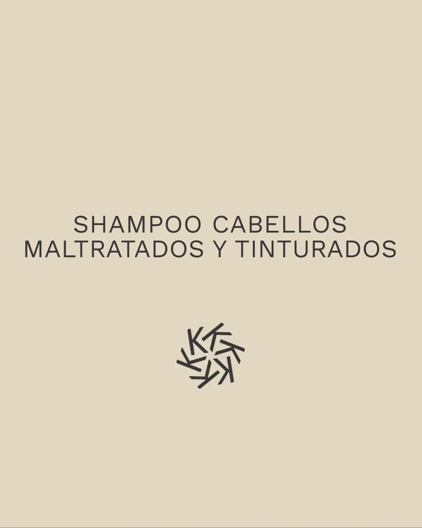 Shampoo Cabellos Maltratados y Tinturados